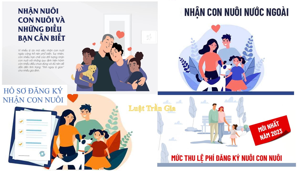 Quy trình nhận nuôi con nuôi của Luật Trần Gia năm 2023